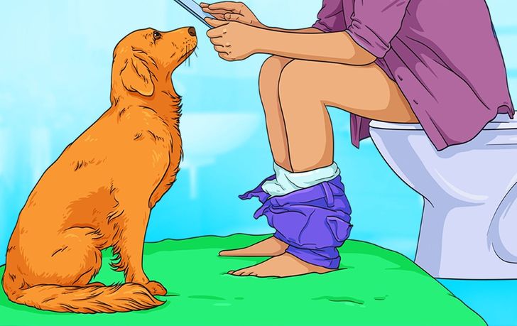 Why Dogs Follow You into the Bathroom: Unraveling Canine Curiosity and Loyalty